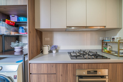Parc Life (D27), Condominium #558433121